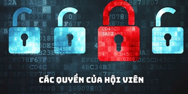 Các quyền của hội viên