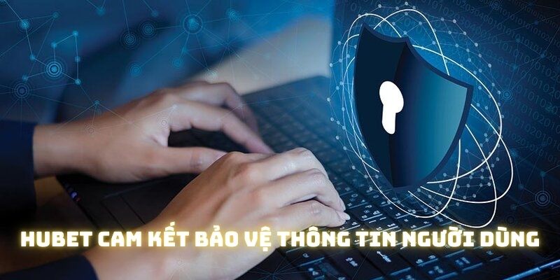 Hubet cam kết bảo vệ thông tin người dùng