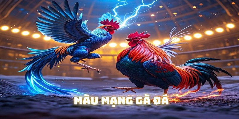 Tìm hiểu mầu mạng gà đá cùng Hubet