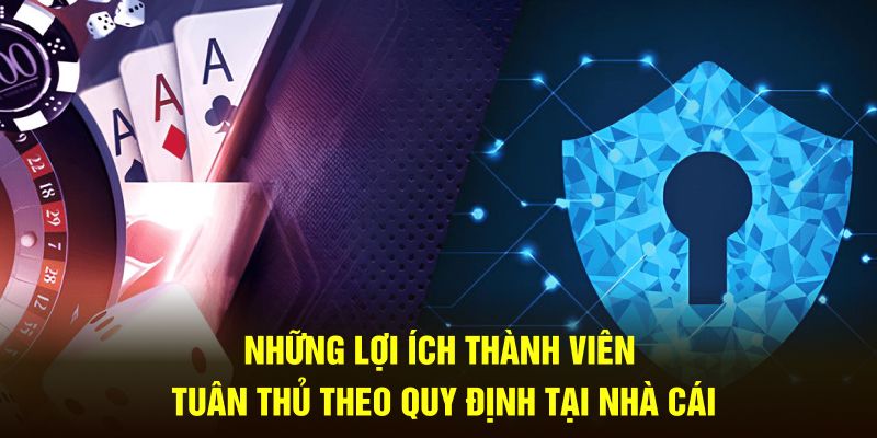 Những lợi ích thành viên tuân thủ theo quy định tại nhà cái