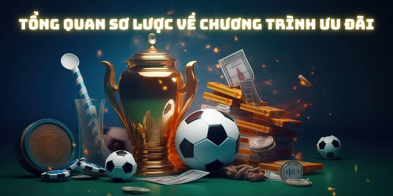 Tổng quan sơ lược về chương trình ưu đãi