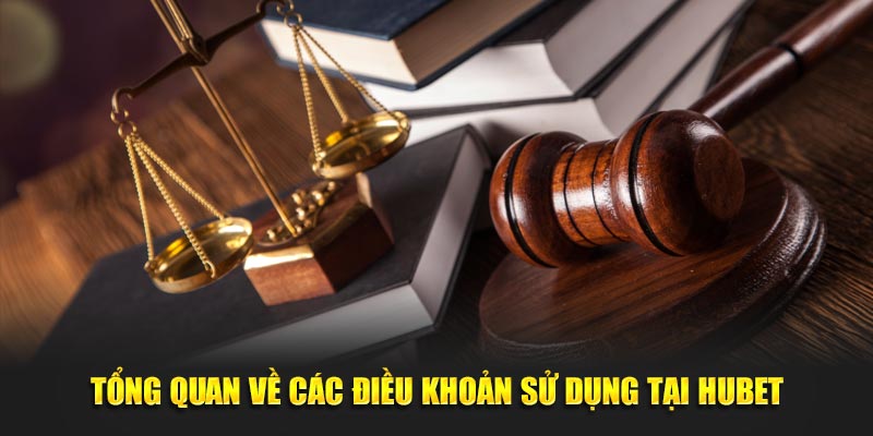 Tổng quan về các điều khoản sử dụng tại Hubet